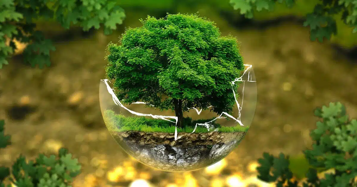 Dans quelle école se faire former dans les métiers de la transition écologique ? 