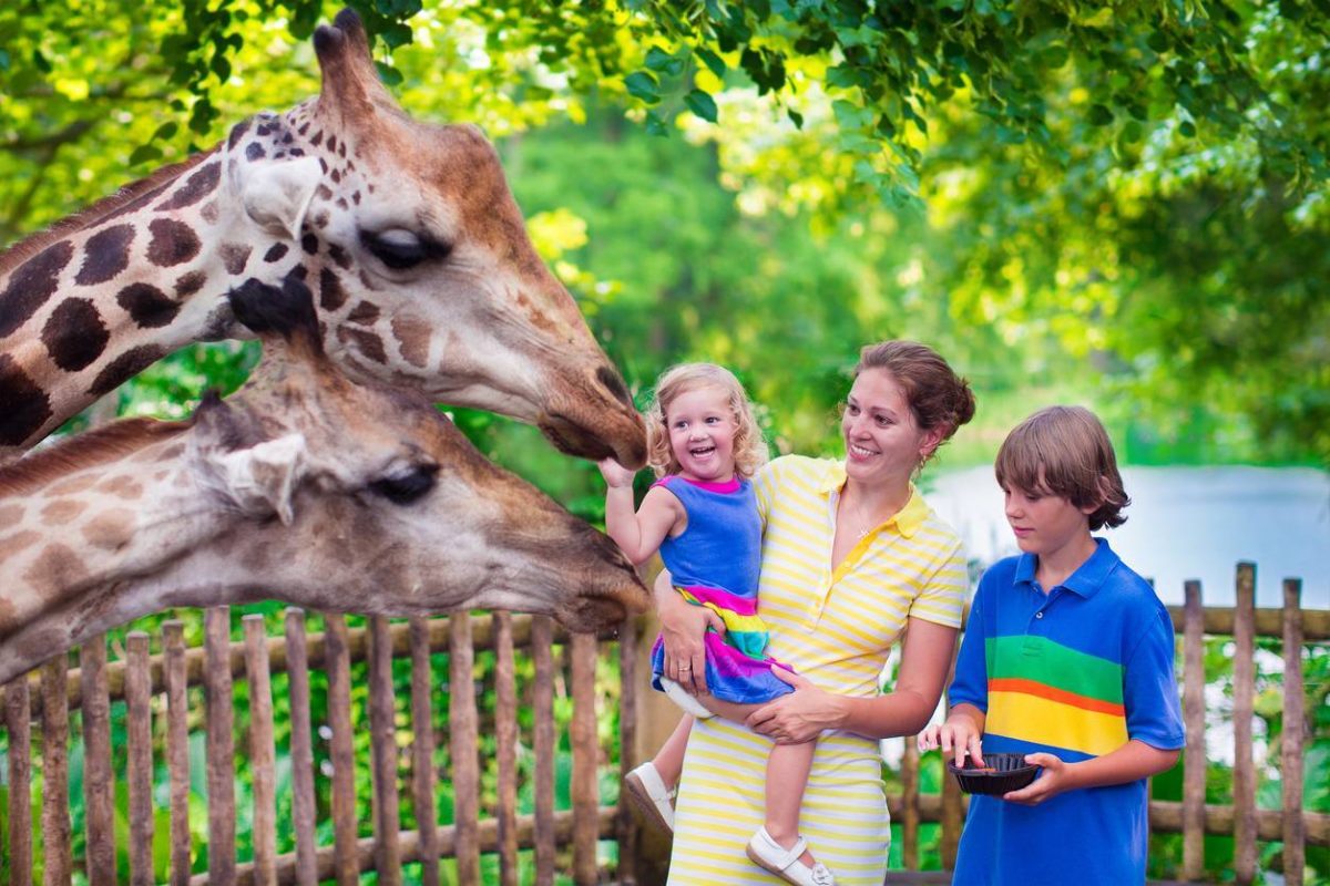 sortie parc animalier en famille